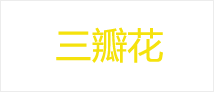 合作伙伴五